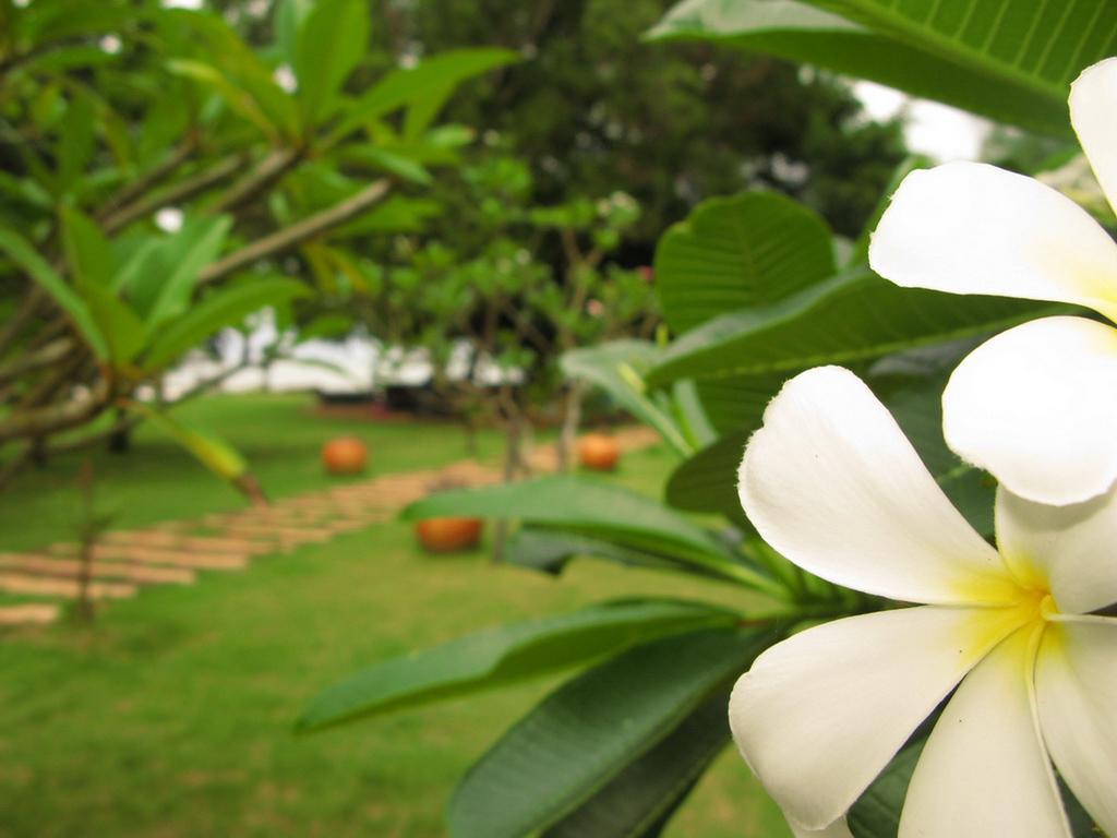 Baan Pun Sook Resort Chao Lao Beach Εξωτερικό φωτογραφία